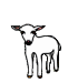 lamb